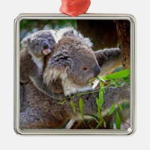 Cute baby koala bear with mom in a tree metal ornament
