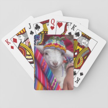 Cute Baby Lamb Sheep Animal Playing Cards