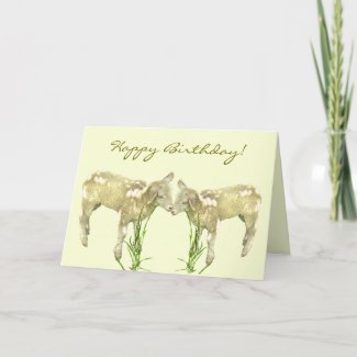 Cute Baby Lambs on Yellow Birthday Card