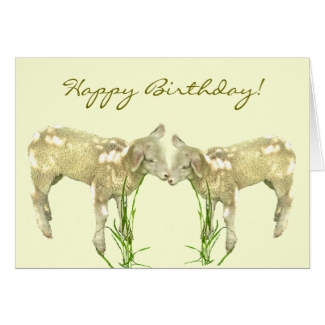 Cute Baby Lambs on Yellow Birthday Card