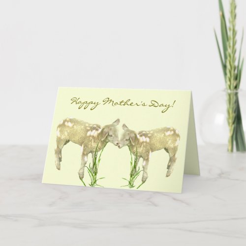 Cute Baby Lambs on Yellow Mothers Day Card