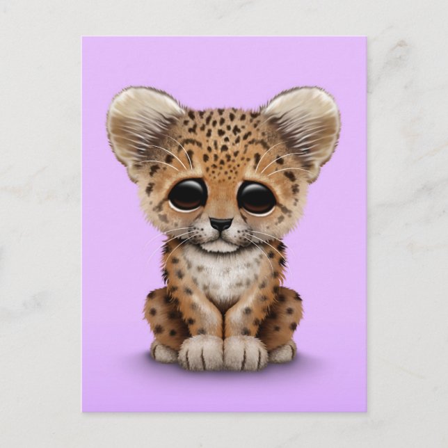 Cute Baby Leopard Cub on Purple Postcard (Front)