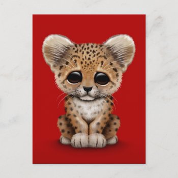 Cute Baby Leopard Cub On Red Postcard by crazycreatures at Zazzle