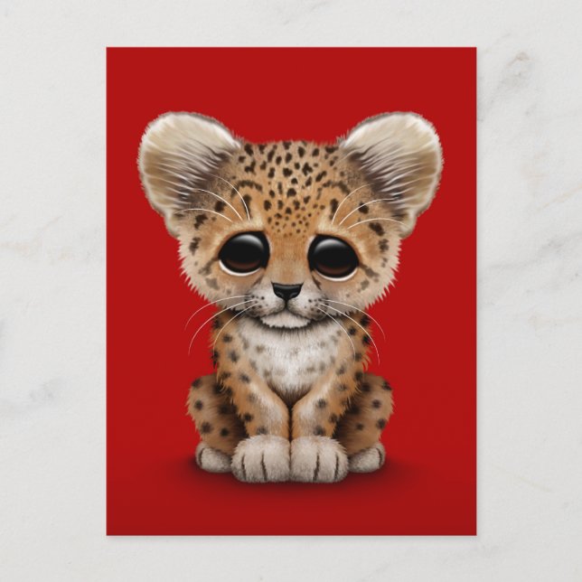 Cute Baby Leopard Cub on Red Postcard (Front)
