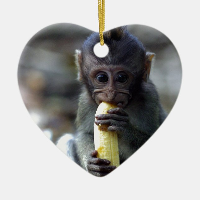 Cute baby macaque monkey eating banana ceramic ornament (Front)
