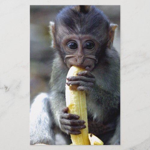 Cute baby macaque monkey enjoying banana stationery