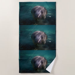 Cute baby manatee beach towel