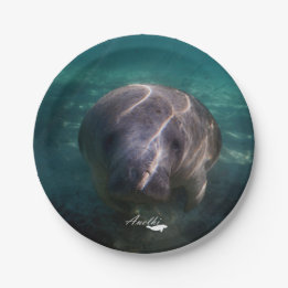 Cute baby manatee paper plates