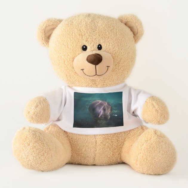 cute baby teddy bear