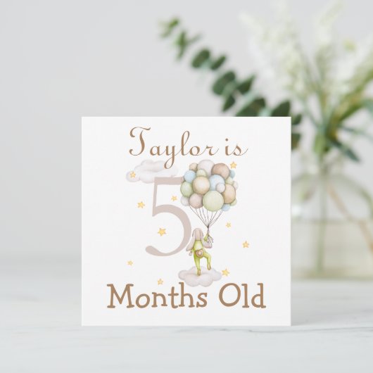 Cute Baby Milestones Markers 5 and 6 Months Old (Standing Front)