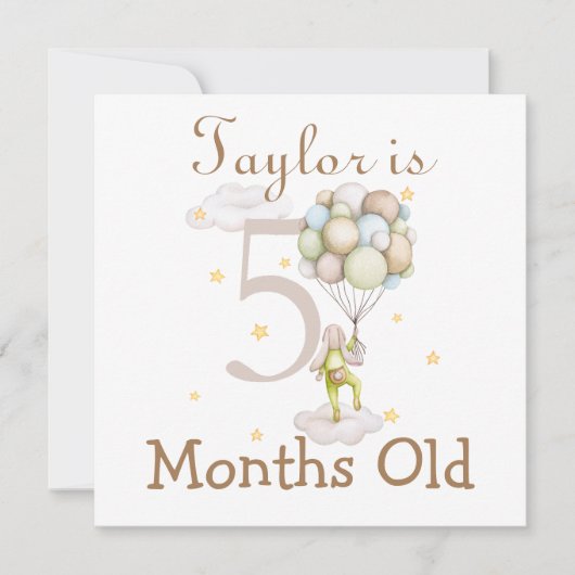 Cute Baby Milestones Markers 5 and 6 Months Old (Front)