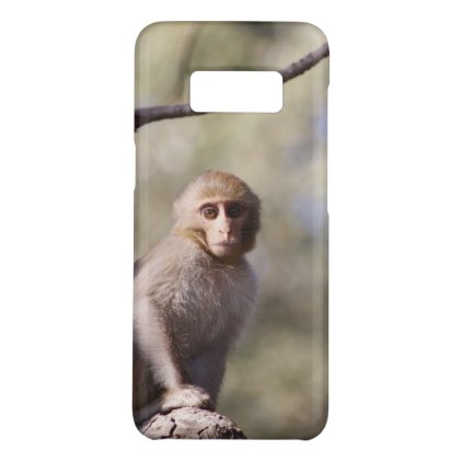 Cute Baby Monkey Photograph Case-Mate Samsung Galaxy S8 Case