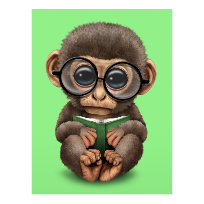 baby monkey book