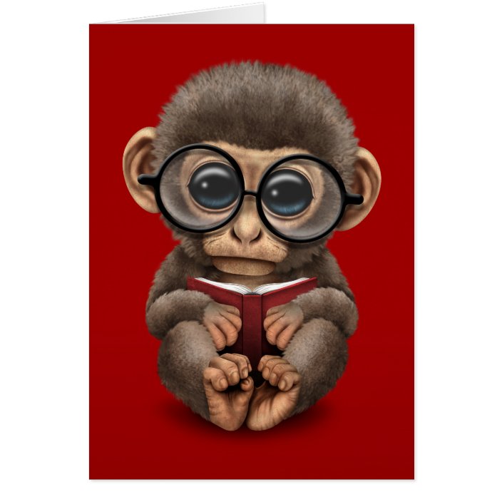 baby monkey book