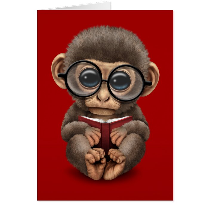 Cute Baby Monkey Reading A Book On Red Zazzle Com