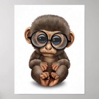 Cute Baby Monkey Wearing Eye Glasses White Poster by crazycreatures at Zazzle