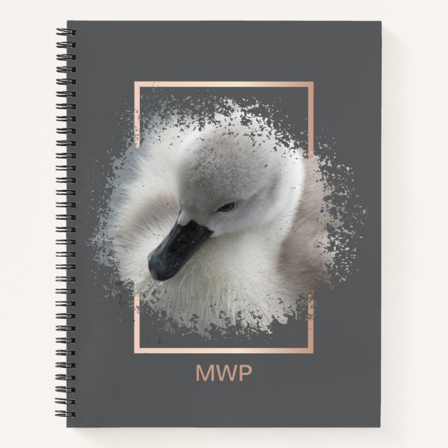 Cute Baby Mute Swan Gray Abstract Notebook (Front)