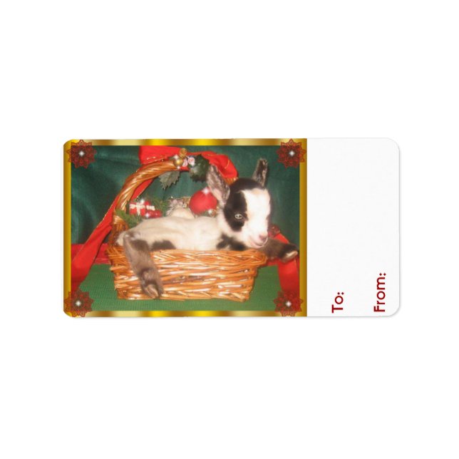 Cute Baby  Myotonic Goat Christmas Gift Tag (Front)