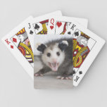 Cute Baby Opossum Photo Playing Cards at Zazzle