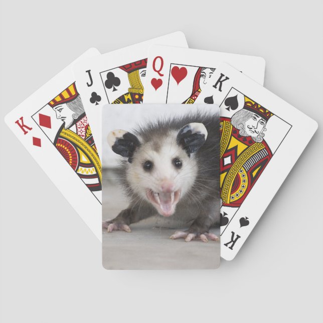Cute Baby Opossum Photo Playing Cards (Back)