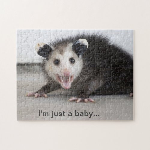 cute baby opossum photo puzzle