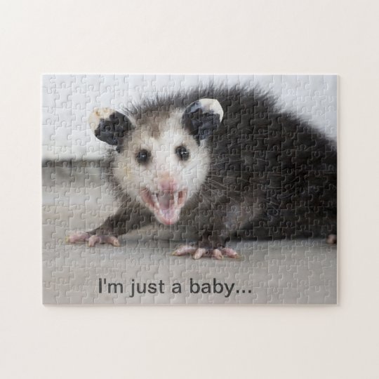 Cute Baby Opossum Photo Puzzle Zazzlecom