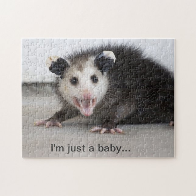 cute baby opossum photo puzzle (Horizontal)