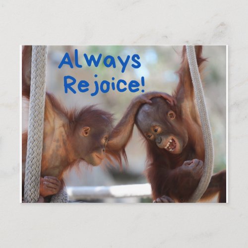 Cute Baby Orangutan Always Rejoice Postcard