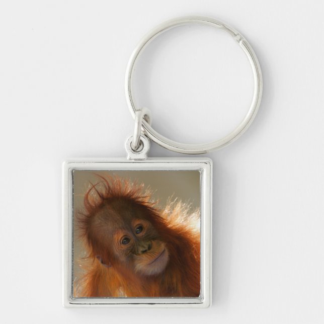 Cute Baby Orangutan Keychain (Front)
