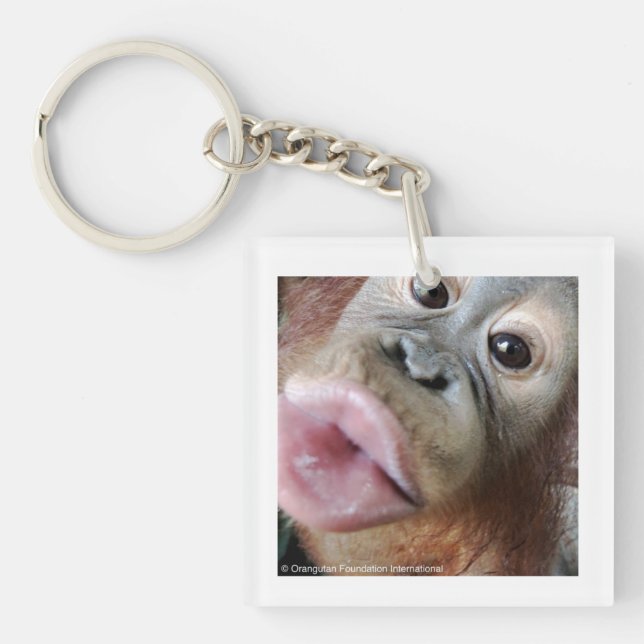 Cute Baby Orangutan Kiss Keychain (Front)