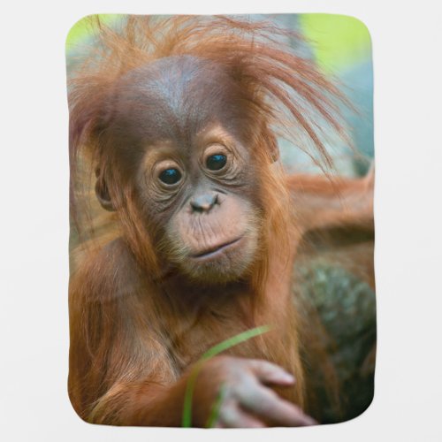 Cute Baby Orangutan looking straight ahead Baby Blanket