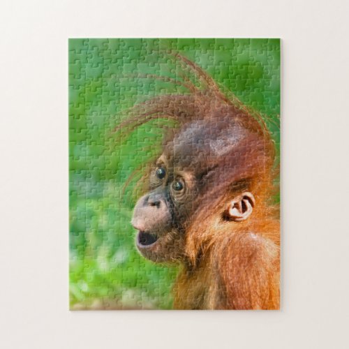 Cute baby orangutan looks on in wonder jigsaw puzzle