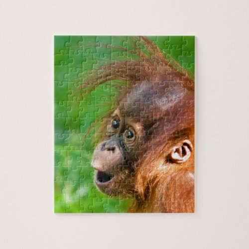 Cute baby orangutan looks on in wonder jigsaw puzzle