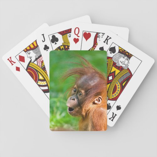 Cute baby orangutan looks on in wonder poker cards