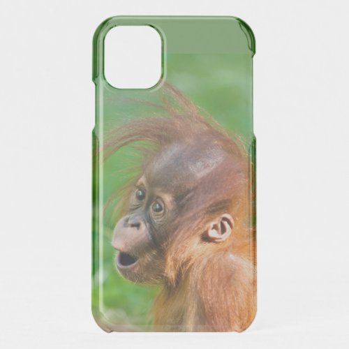 Cute baby orangutan looks on in wonder iPhone 11 case
