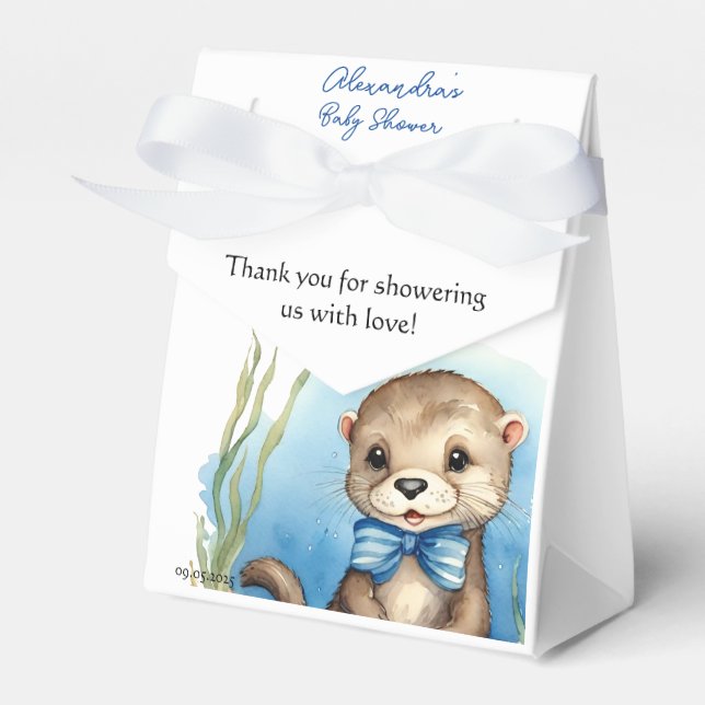 Cute Baby Otter Boy Baby Shower Favor Boxes (Front Side)