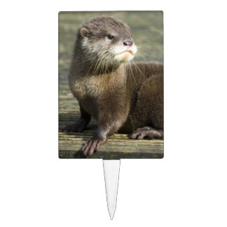 Cute Baby Otter Cake Topper
