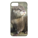 Cute Baby Otter Iphone 8/7 Case at Zazzle
