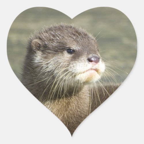Cute Baby Otter Heart Sticker