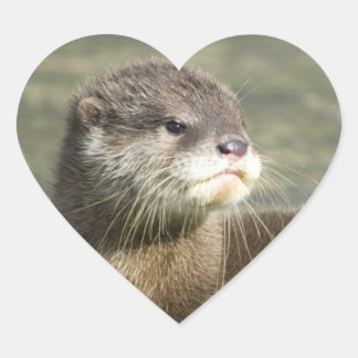 Cute Baby Otter Heart Sticker