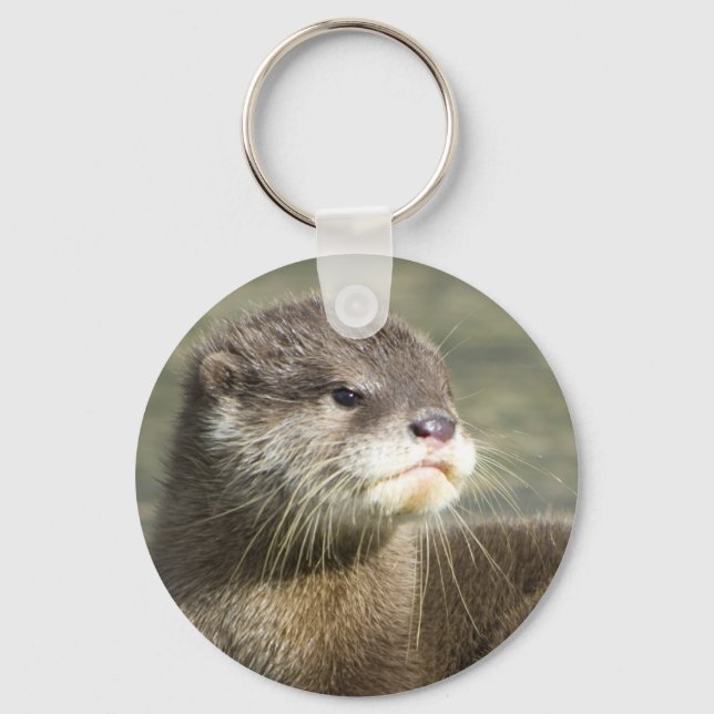 Cute Baby Otter Keychain (Front)