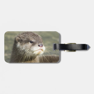 Cute Baby Otter Luggage Tag