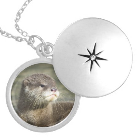 Cute Baby Otter Silver Plated Necklace