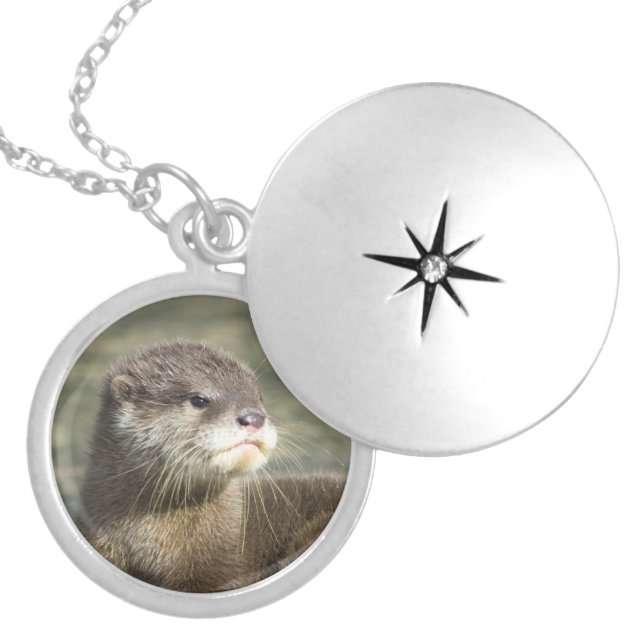 Cute Baby Otter Silver Plated Necklace (Front)