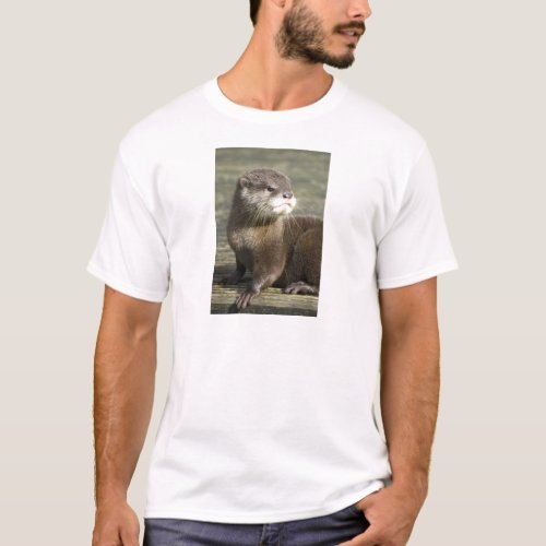 Cute Baby Otter T_Shirt