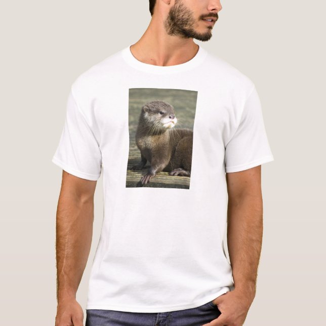 Cute Baby Otter T-Shirt (Front)