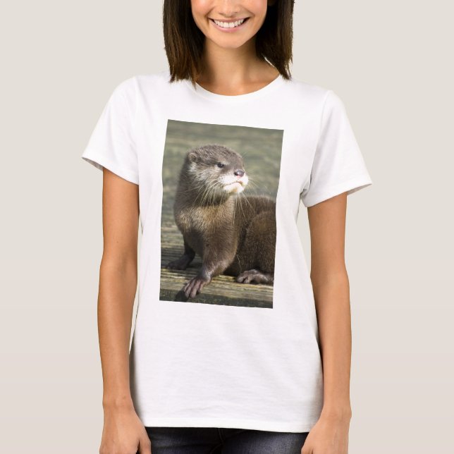 Cute Baby Otter T-Shirt (Front)