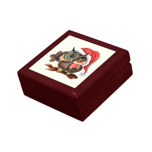 Cute Baby Owl In Christmas Hat and Gift - Cartoon  Box