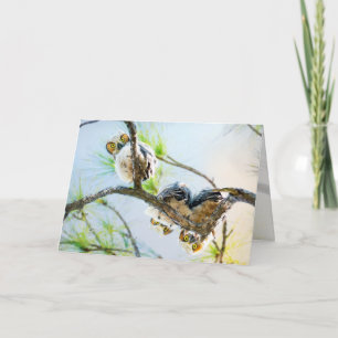Cute Baby Owls Blank All Occasion Holiday Card