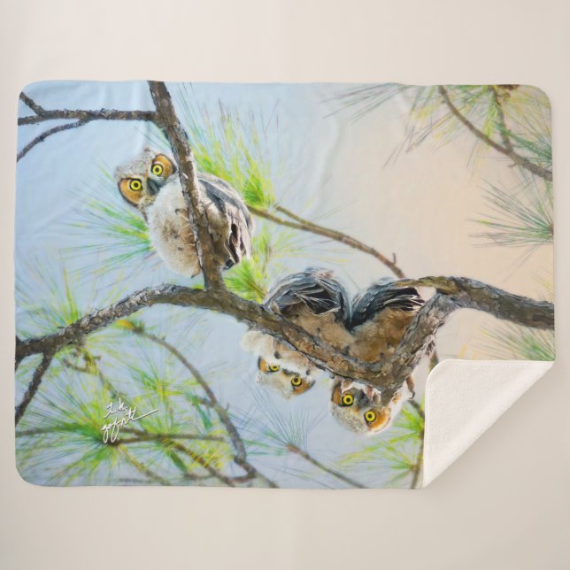 Cute Baby Owls Great Horned Wildlife Fine Art  Sherpa Blanket (Front (Horizontal))